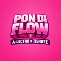 Pon Di Flow - Single - A-Lectro & Tierrez