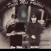 PARA MIS PADRES (feat. M3MO) - Single - HLocc