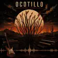 Ocotillo