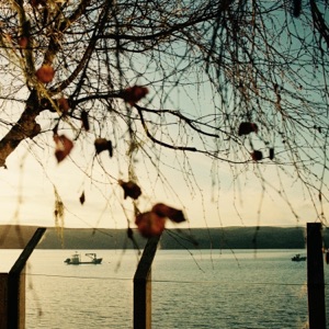 Like Autumn - Single