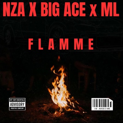 FLAMME (feat. BIGG ACE & N'ZA) - Single