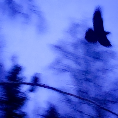 liminations - Single