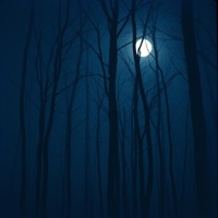 Album cover for Rei Ami - Single by ANGRYHED