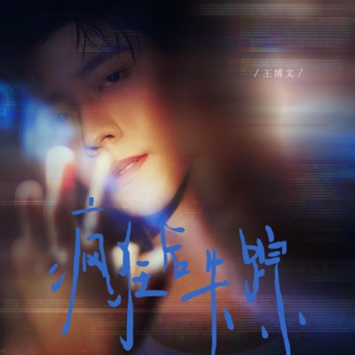 疯狂后失踪 - Single