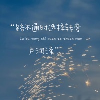 路不通时选择转弯 - Single - Lu Run Ze
