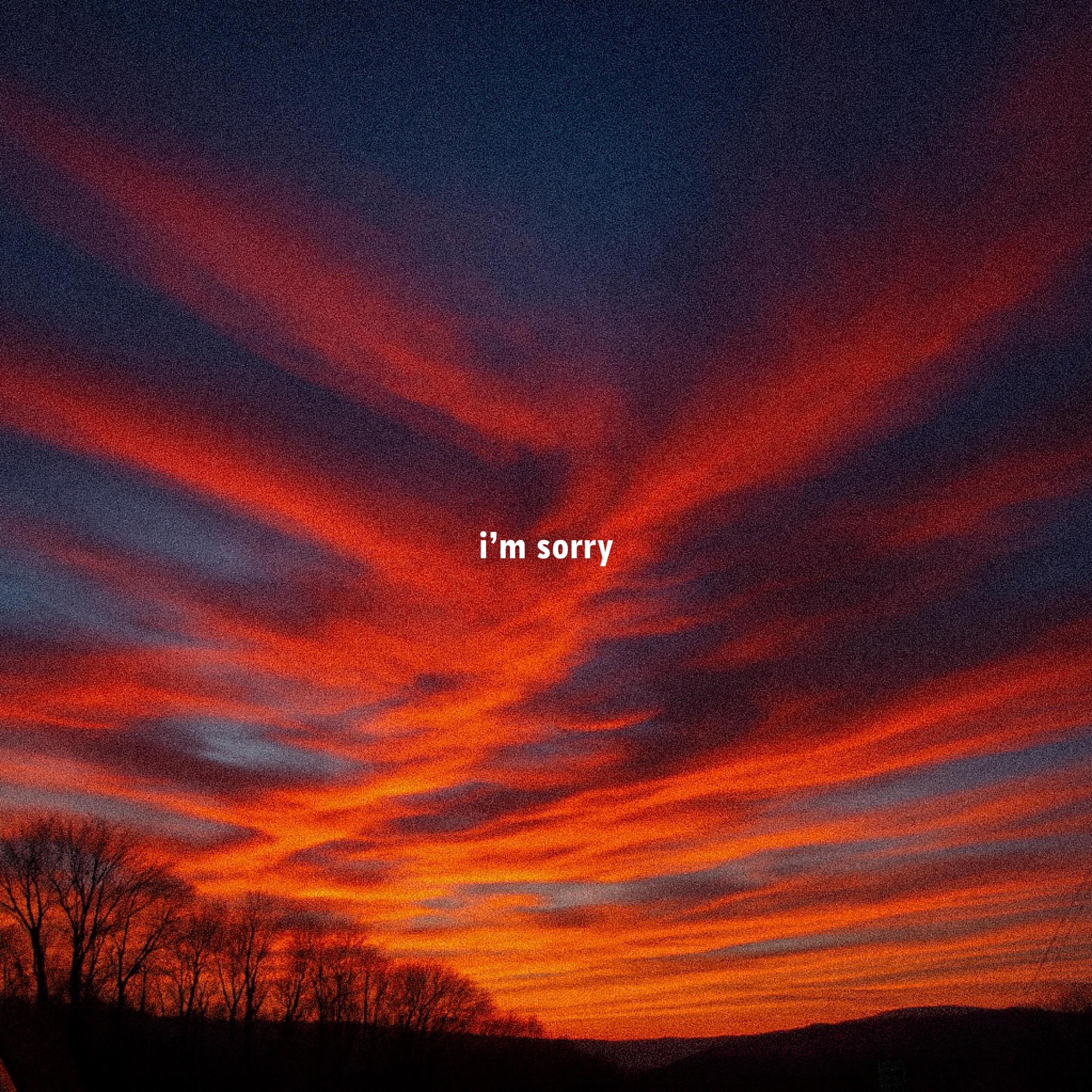 i'm sorry - Single