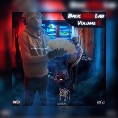 BackNDaLabVol1