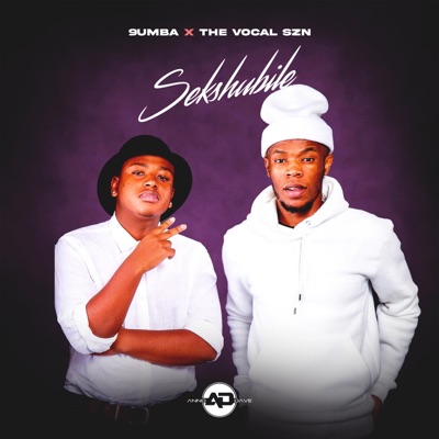 Sek'shubile (feat. Senzo 022, uKhabazela & Mandé) - Single