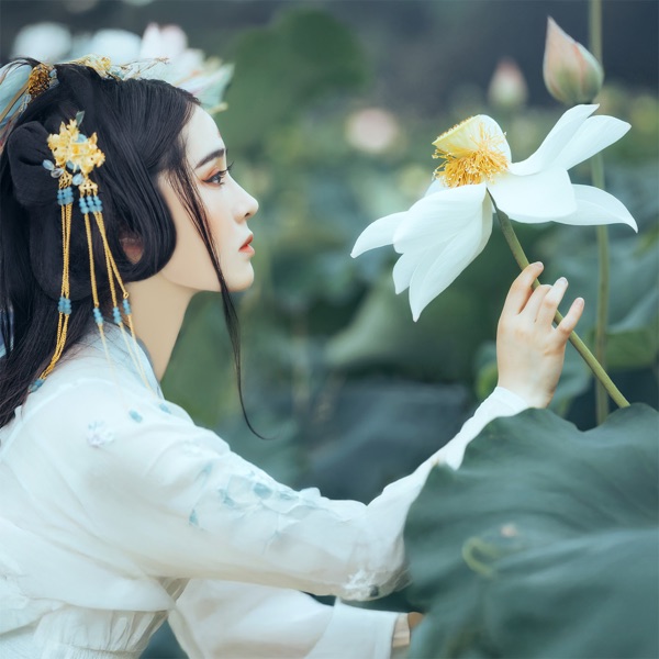 Echoes Beneath Plum Blossoms