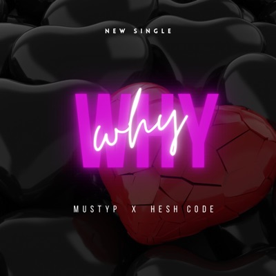 Why (feat. HeshCode) - Single