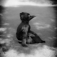 Love Into Blood - Single - Devwiththebev