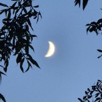 Little Big Bump - Single - Sunny Robertson