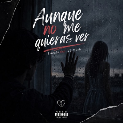 Aunque No Me Quieras Ver (feat. Vl Music) - Single