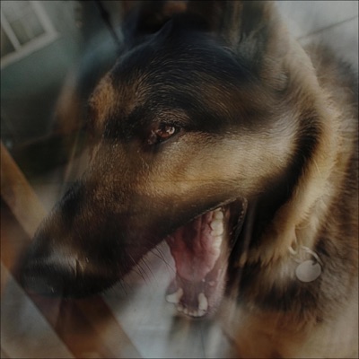 Dog Days - EP
