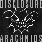 Arachnids artwork