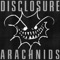Arachnids artwork