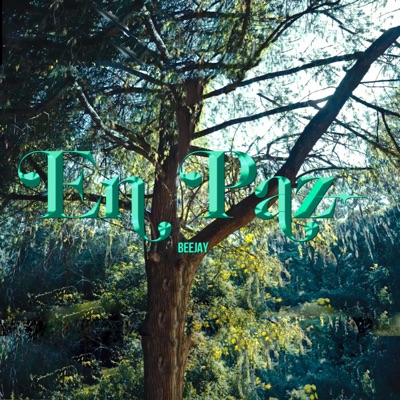 En Paz - Single