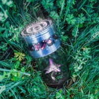 funga - Single - Gemeo