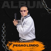 PEGAO LINDO - Franny el control
