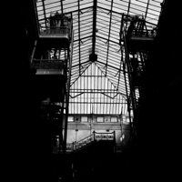 FuturisticMidnightJungleLove - Single - Javon 