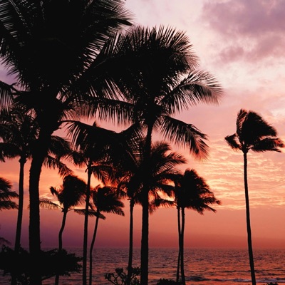 Now You're Gone (feat. John Jacobs) - Single