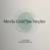 Anatolian Diamonds - Mevla Görelim Neyler