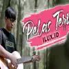 Ilux ID - Pelas Teri