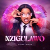 Spice Diana - Nzigulawo