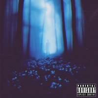 Stpnd - Single - Loone