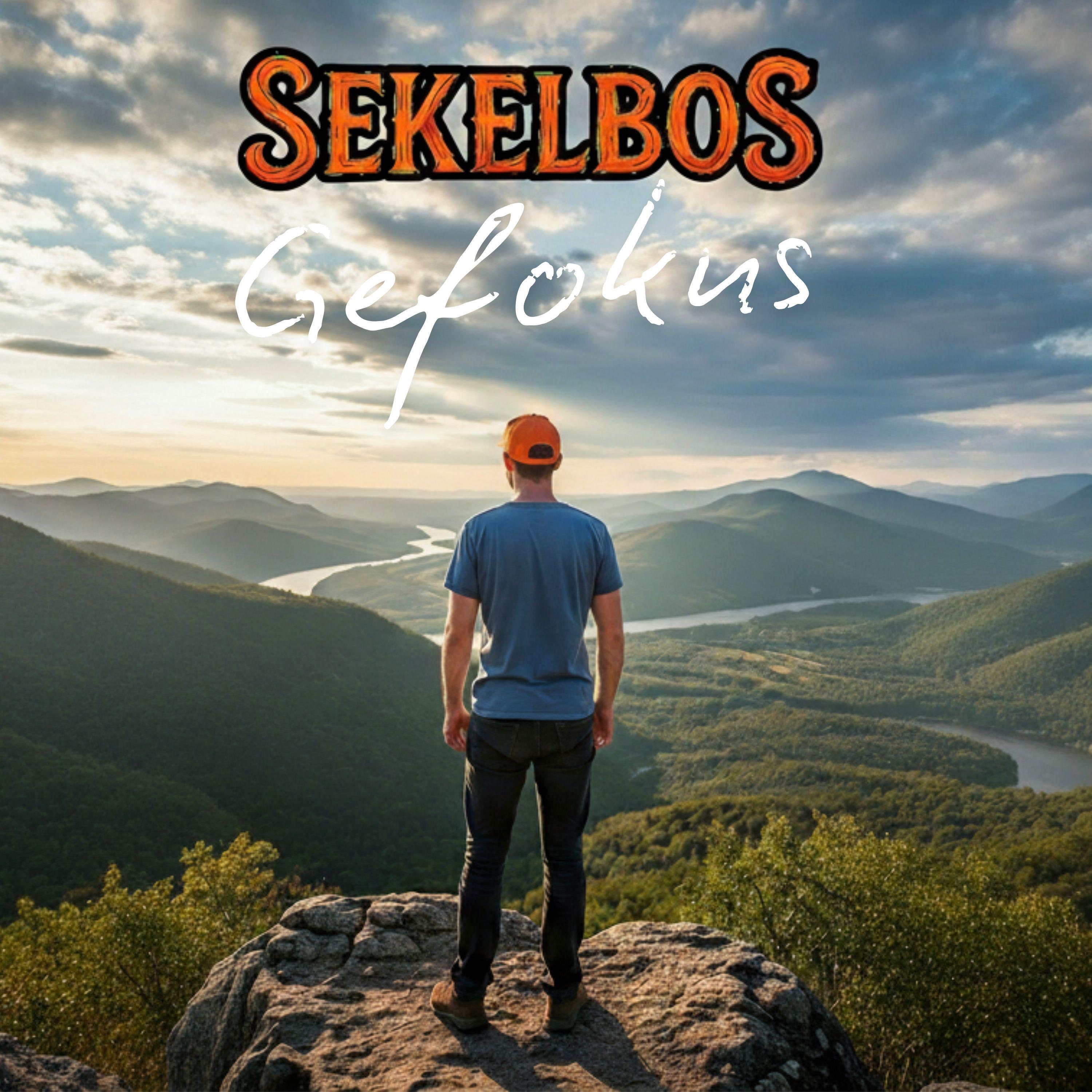 Gefokus - Single