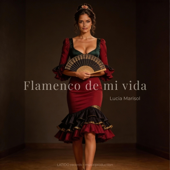 Flamenco de mi vida