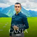 Darius Stanca