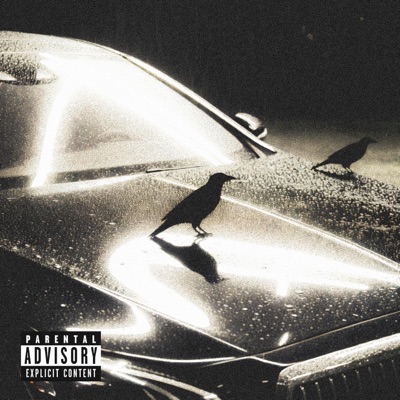 Stage - Single