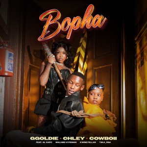 Bopha (feat. Al Xapo, malume.hypeman, II Wise Fellas & T.M.A_Rsa)