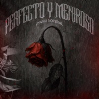 Perfecto y mentiroso (feat. 4bra) - Single - Ayaari Nocedal