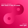 Why Does It Feel So Good - Single