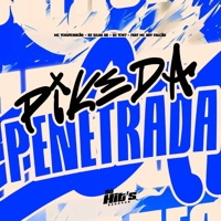 Pike de Penetrada (feat. Ari Falcão) - Single - DJ SILVA 06, DJ TCW7 & MC TCHUTCHUCÃO