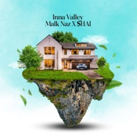 Inna Valley (feat. $hai) - Single - Malk Naz