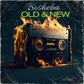 Pretty Girl (feat. Ruff n Smooth) Bosheba