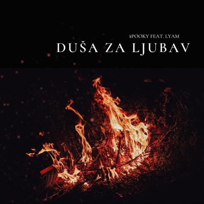 Duša za ljubav (feat. Lyam) - Single
