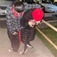 Paño Rojo (feat. Free Sleezy14 & RafaLocz) - Single