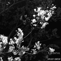 I Heard You Gave Her Flowers - Single - 55 Aero