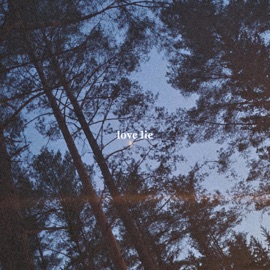 Love Lie Sxdtune