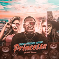 Você Comeu uma Princesa - Single - Gordinho Bolado