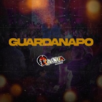 Guardanapo - Single - Rainha Musical