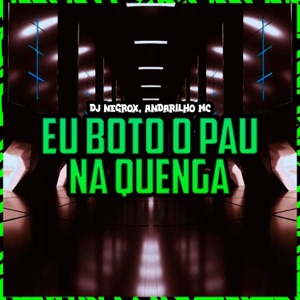 EU BOTO O PAU NA QUENGA