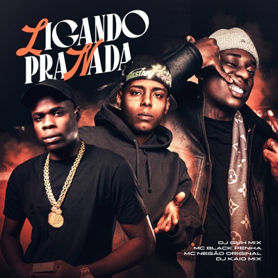 Ligando pra Nada (feat. Mc Negão Original) - Single
