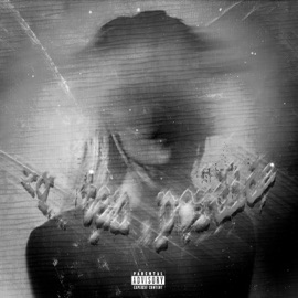 Xq tan perdida 1enyel