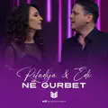 Ne gurbet