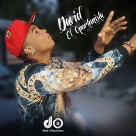 MI SOGA DAVID EL OPORTUNISTA